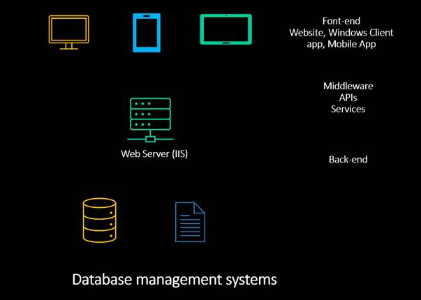 What is Database Management